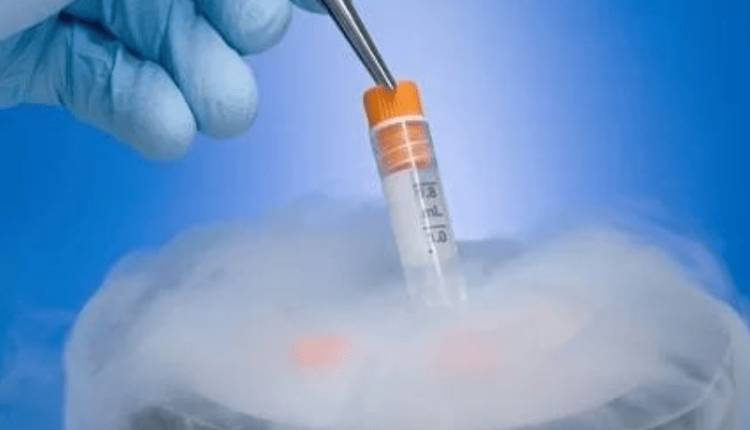 nhieu-nguoi-tru-trung-bao-ton-sinh-san